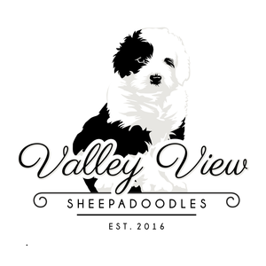 Standard-Kristie/Rush